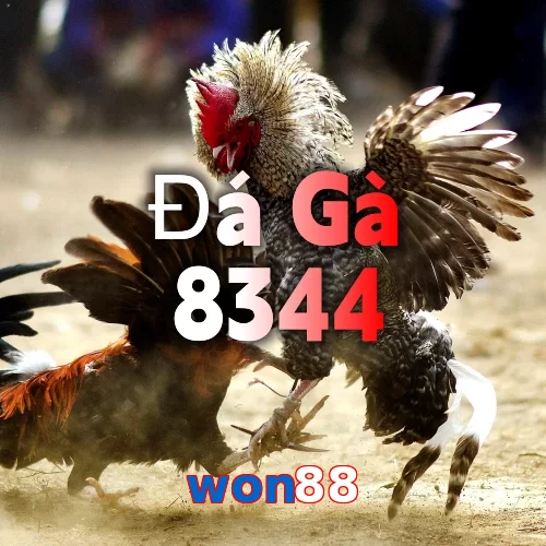 won88